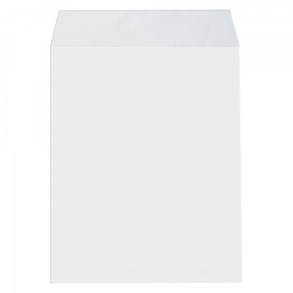 PACK DE 250 POCHETTE BLANCHE 30X40 STRIP 90GR