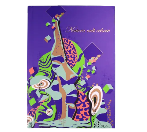 Notebook Art Contemporain Graphic’Art 260 Pages