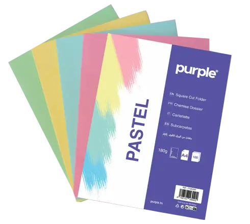 Pack de 10 Chemises Cartonnées Couleurs PASTEL