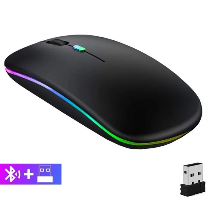 Souris Bluetooth et Sans Fil Optique Rechargeable